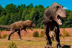 Як визначити динозавр? Наукове обґрунтування терміну динозавр Як визначити динозавр? Наукове обґрунтування терміну динозавр